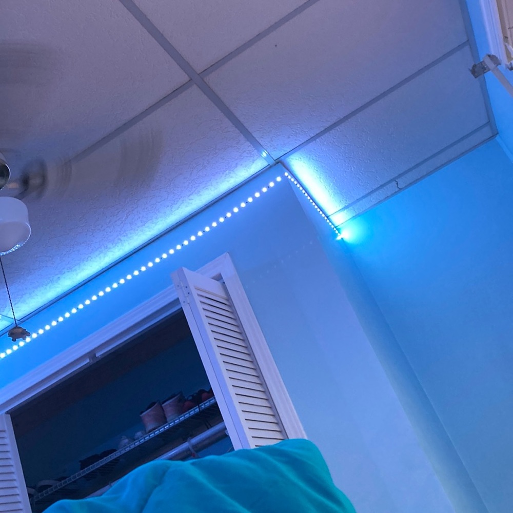 Meet your Posher, Annie